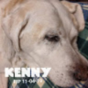 Meet your Posher, Kaisa